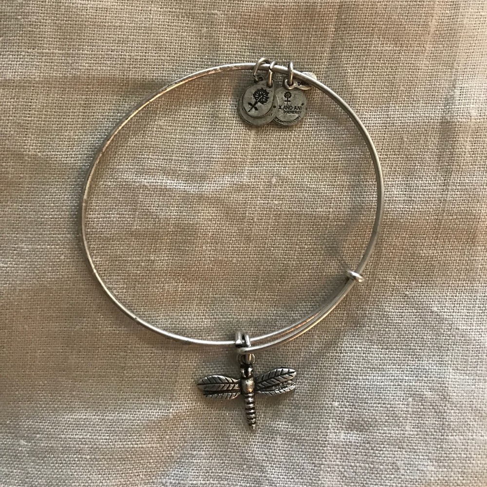 Alex and Ani Dragonfly charm bracelet
